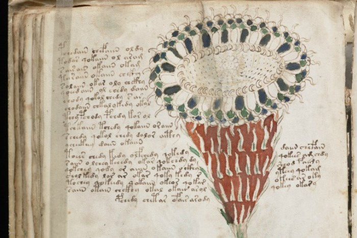 Il Manoscritto di Voynich: Il Libro Più Misterioso del Mondo che Nessuno ha Ancora Decifrato