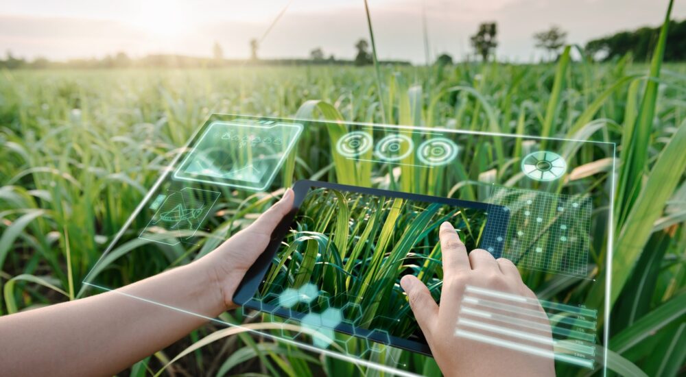 L'Economia Agricola: Nutrire 8 Miliardi di Persone in un Pianeta che Cambia